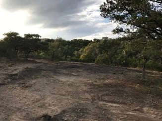 texas land clearing site work